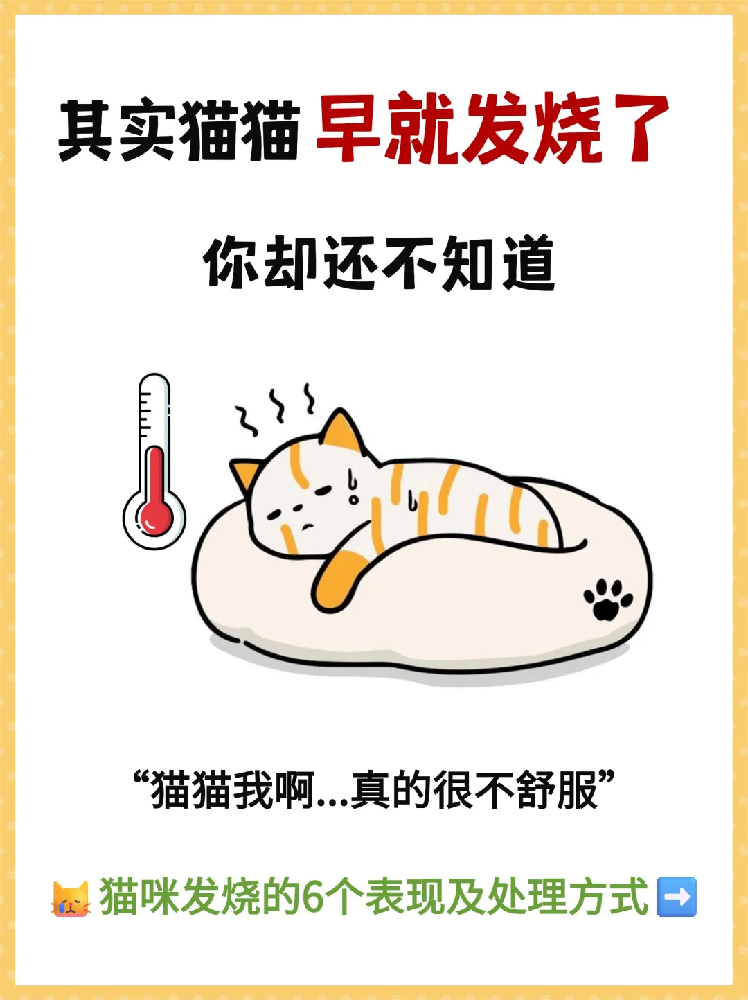 猫咪发烧的6个表现＆科学处理方法❗