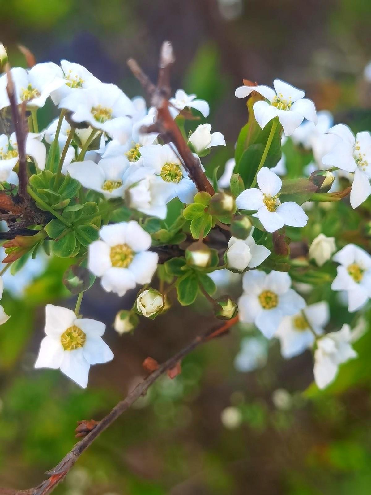 张水华在吐鲁番这一跑，把身上那层“夺冠金身”给跑碎了。第三名，这个名次对普通跑