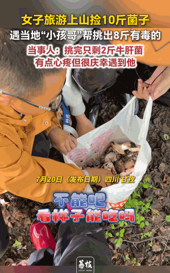 这简直是活菩萨！四川甘孜，女子一行三人高高兴兴地去山上体验采摘的乐趣，本以为是满