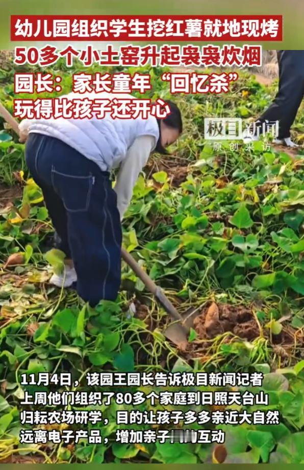 “太接地气了！”11月4日，山东郯城县，一家幼儿园的80多个家庭来到日照天台山归