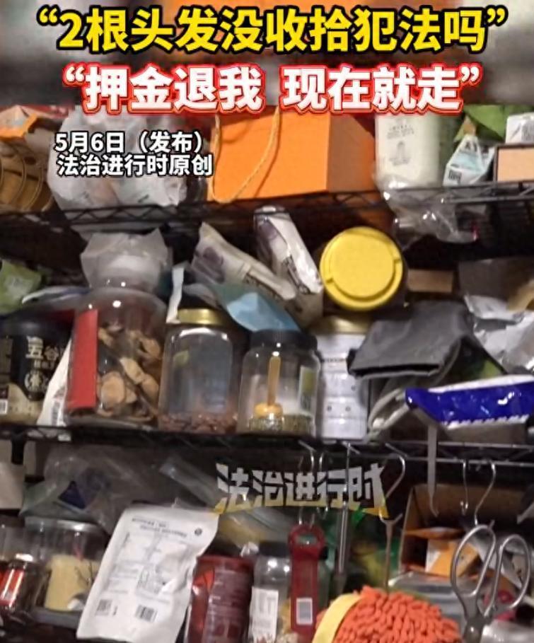 两根头发闹到报警！合租遇到“极品室友”，谁懂这种委屈？今天这事儿，合租过的