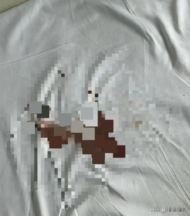 甘肃兰州，张女士坐火车卧铺时出了岔子，经期本来就不规律，偏偏在火车上突然来了月经