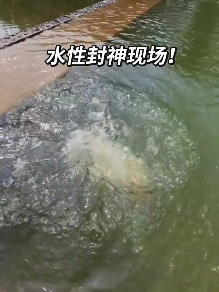 水性封神现场！