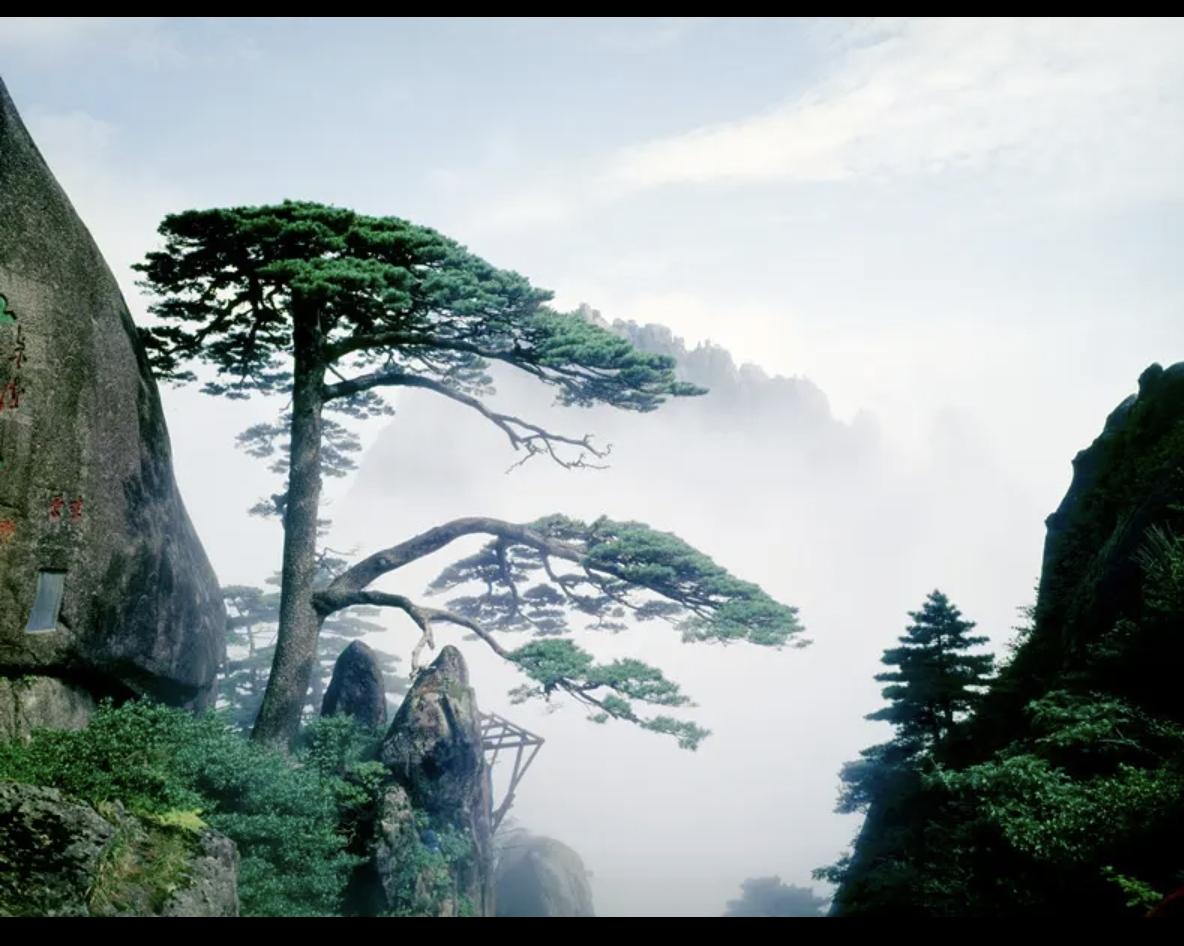 我的同事张老师，今年五十五岁了。他最近旅游都是一些名山，比如泰山九华山衡山千山凤