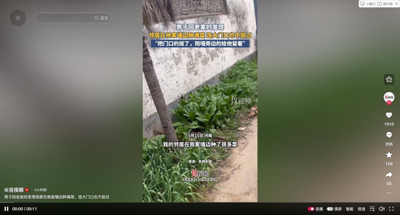 这是欺负人？邻居在自家门口种满蔬菜，敲门却无人应答，男子不再犹豫，直接拔菜清场，