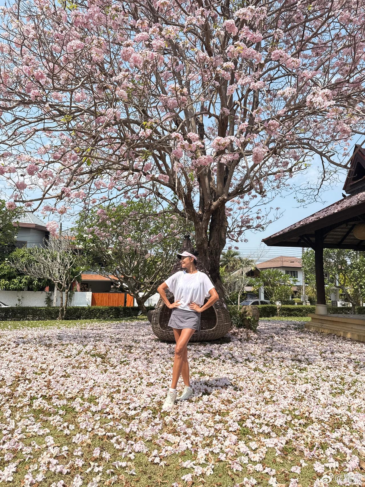 全网喊瞿颖上班3月18日，瞿颖在社交平台分享日常，一句“今年的风铃花树又开满枝