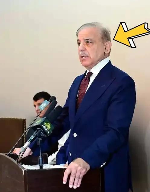 巴基斯坦总理近几日提出了“只要无偿援助，不要贷款”的想法，认为某些东方大国的无条