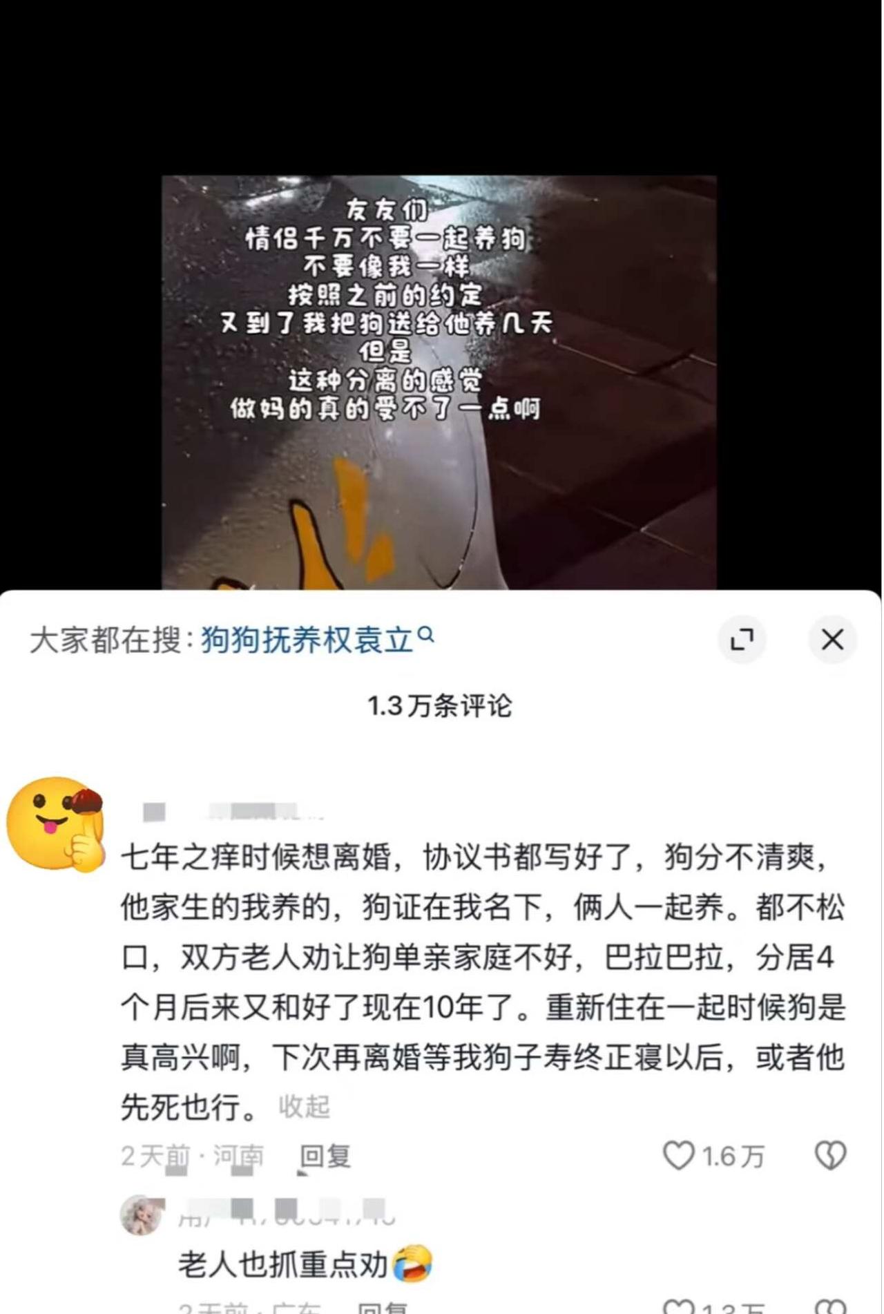 一代人有一代人的抚养权要争抚养权搞笑关心下一代正义永远不会缺席嫡长子与