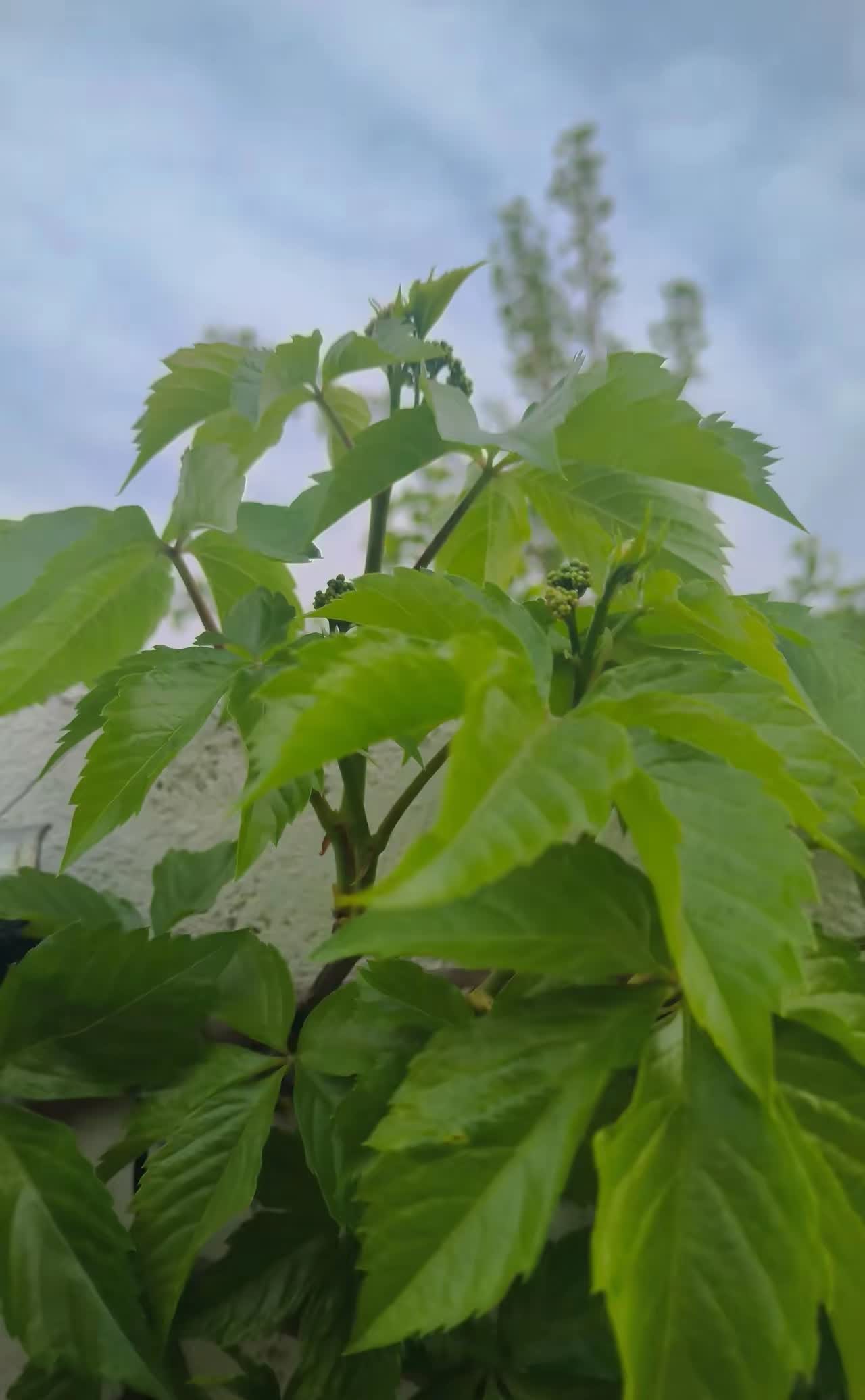 最近网上流传一个说法：离婚等于孤独终老。这说法有点意思，细想还真有点道理。想