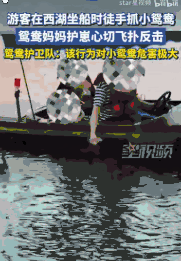 “这种人就应该拉黑！”浙江杭州，一名游客在船上，光天化日之下，竟然伸手把一只还没