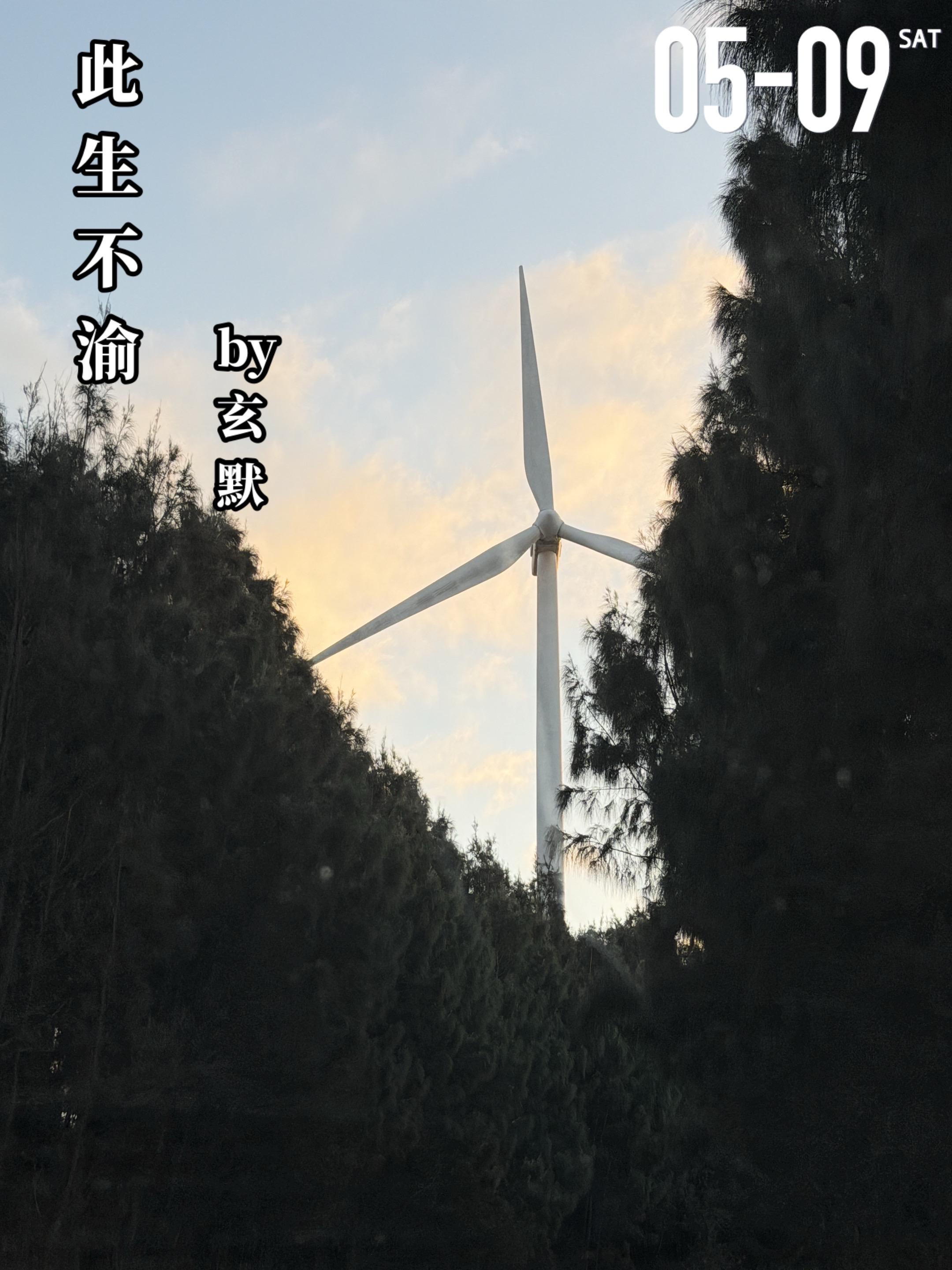 《此生不渝》by玄默。阮薇（女主）与叶靖轩（男主）是从小一起长大的青梅...