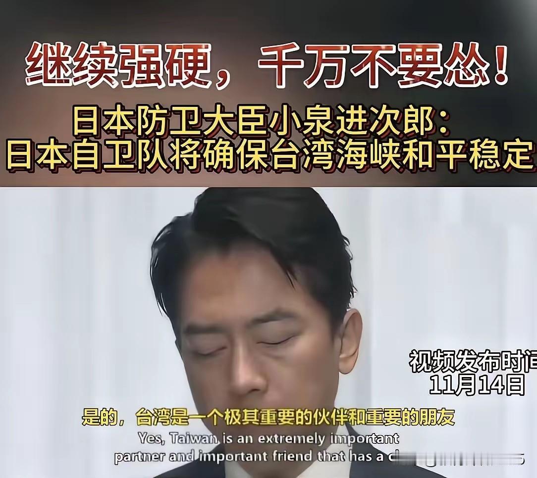 日本防卫大臣小泉进次郎：台湾是日本极其重要的伙伴和朋友，和日本的经贸往来极其密切
