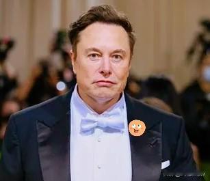 亿万富豪马斯克再次语出惊人，这次把矛头直指新加坡。他在社交媒体上直言：“新加坡（