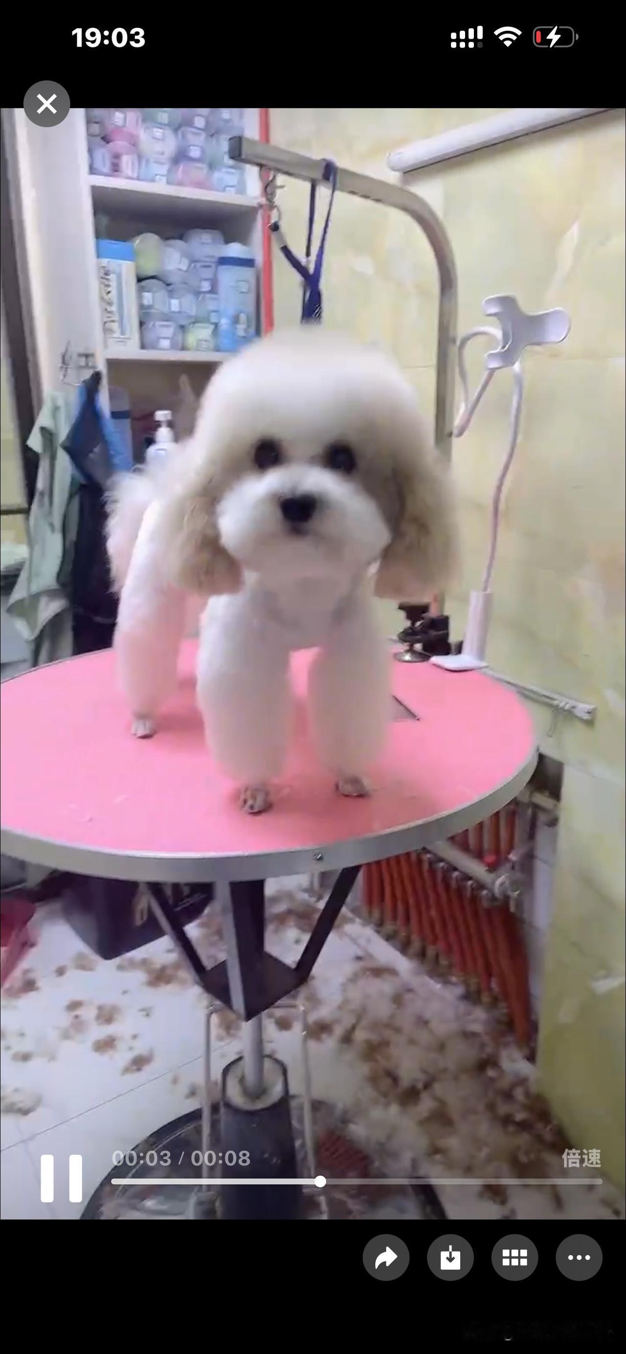 我哥哥还那么年轻，怎么就没了……那时候还年轻。我哥才大学毕业没几年。25岁刚