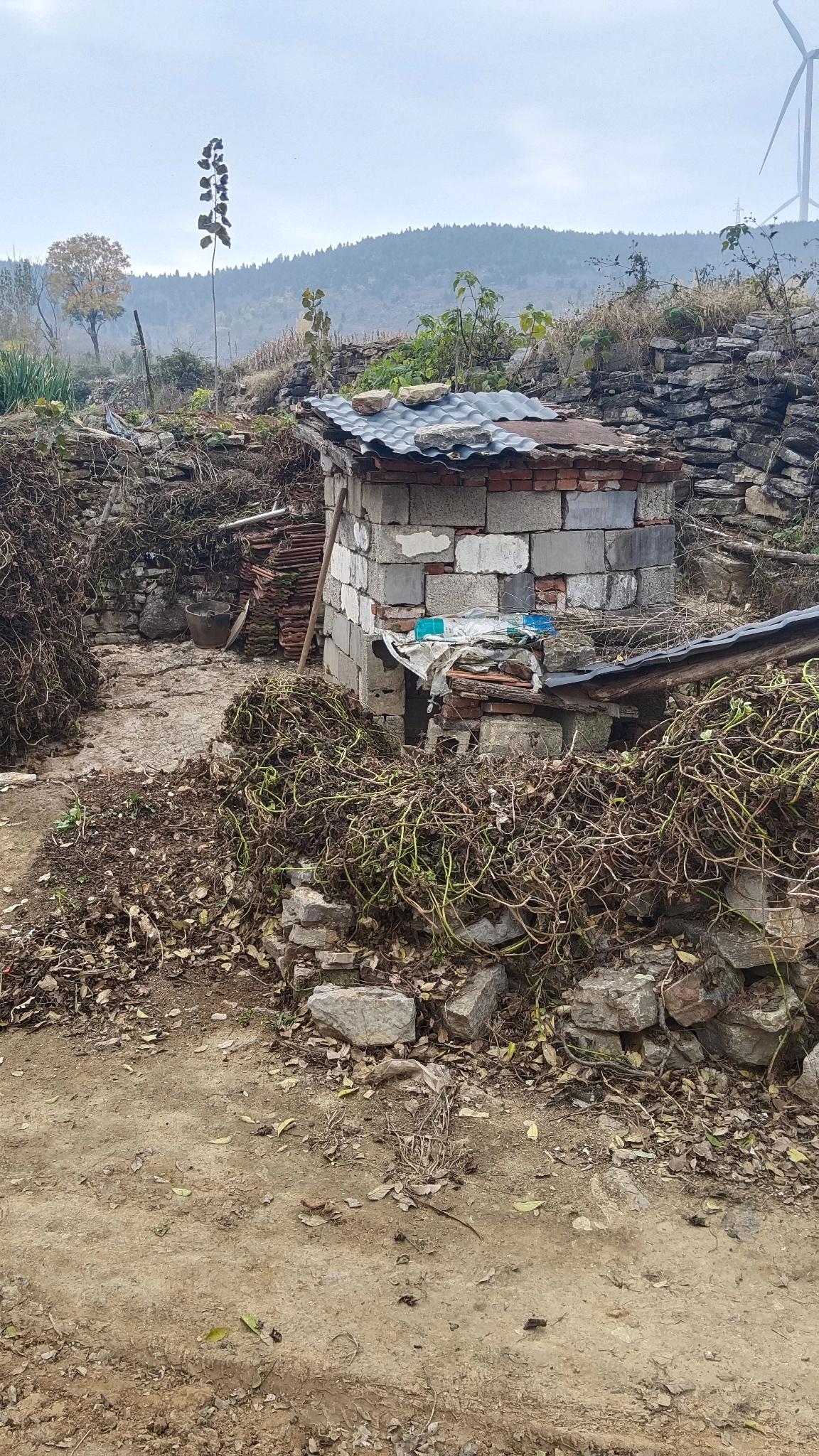 我傻眼了！今天回婆婆家，刚走到婆婆家门口我就尿意来袭，当婆婆对我说这就是她家厕所