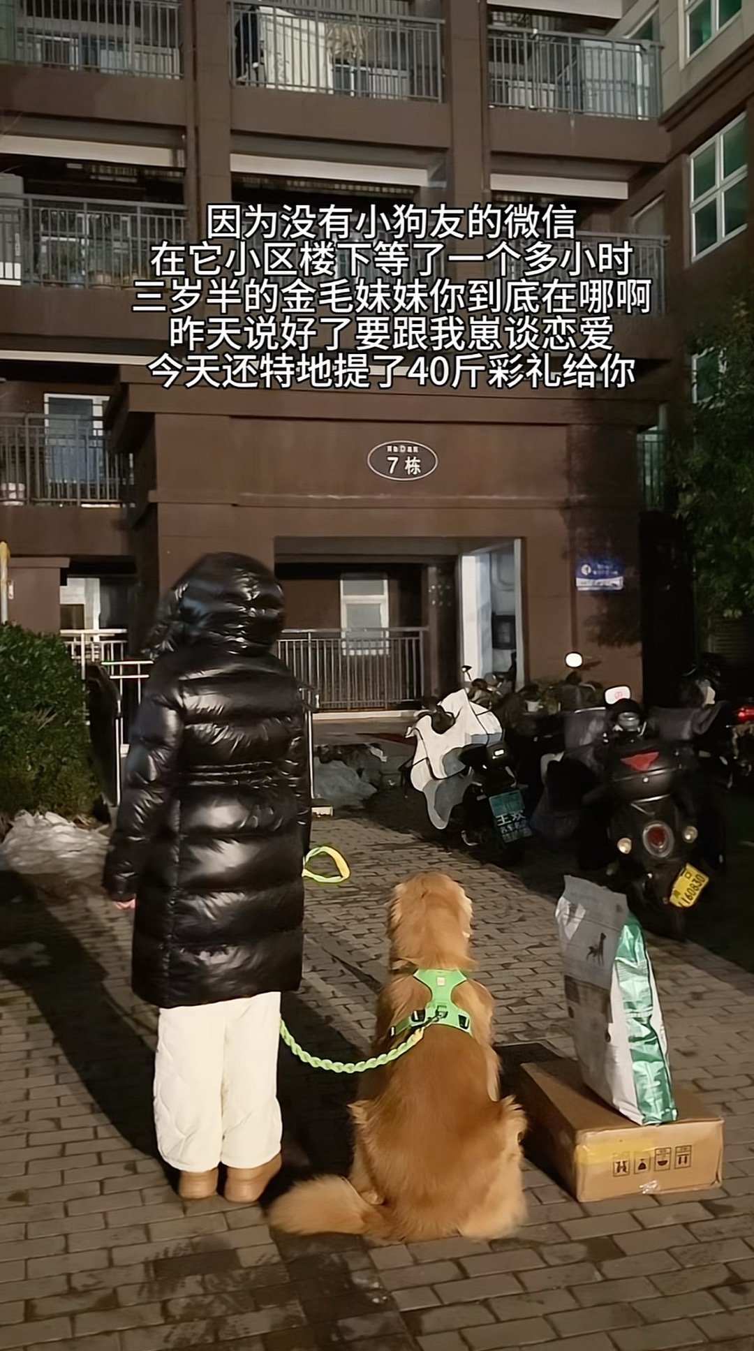 养狗人养狗魂一生只做爱狗人