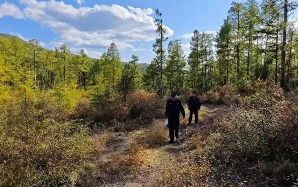 内蒙古大兴安岭，一名17岁少年进山采摘松塔时不慎与队伍走散，失联被困原始密林。在