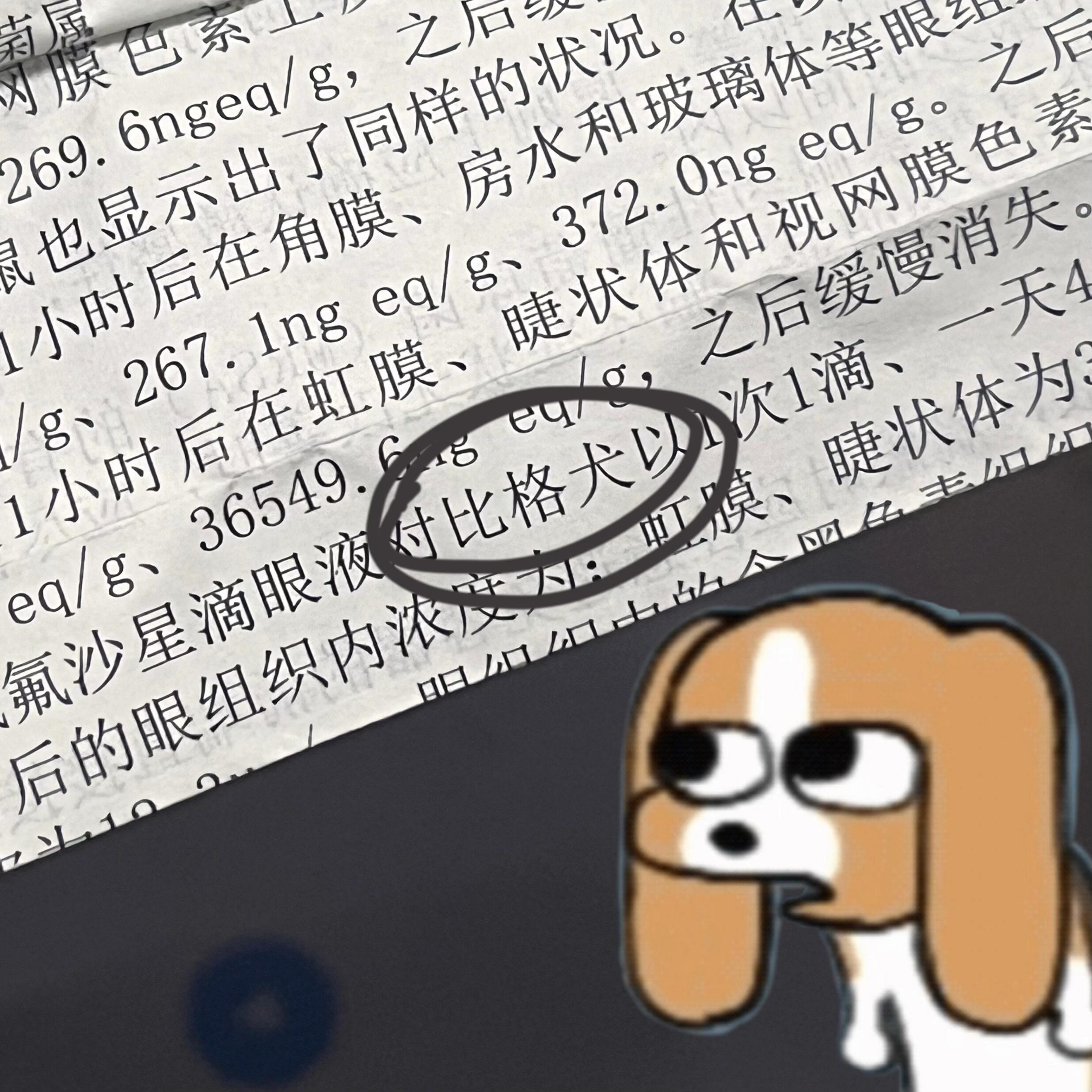 在眼药水说明书看到比格犬…让我们一起说，谢谢小比​​​