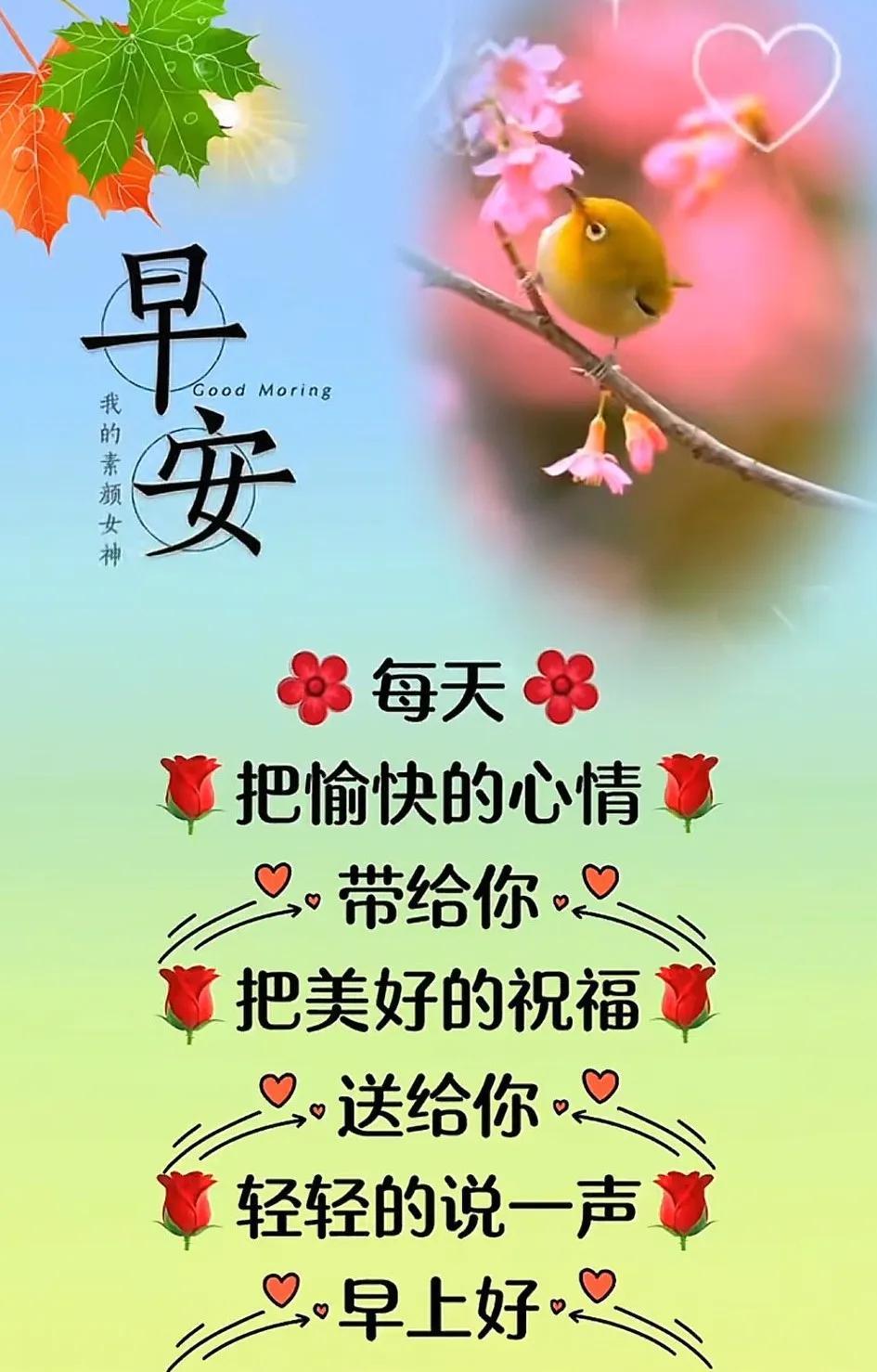 别人的眼光不必太在意，自己的快乐才是真道理。生活嘛：要开心，要健康，