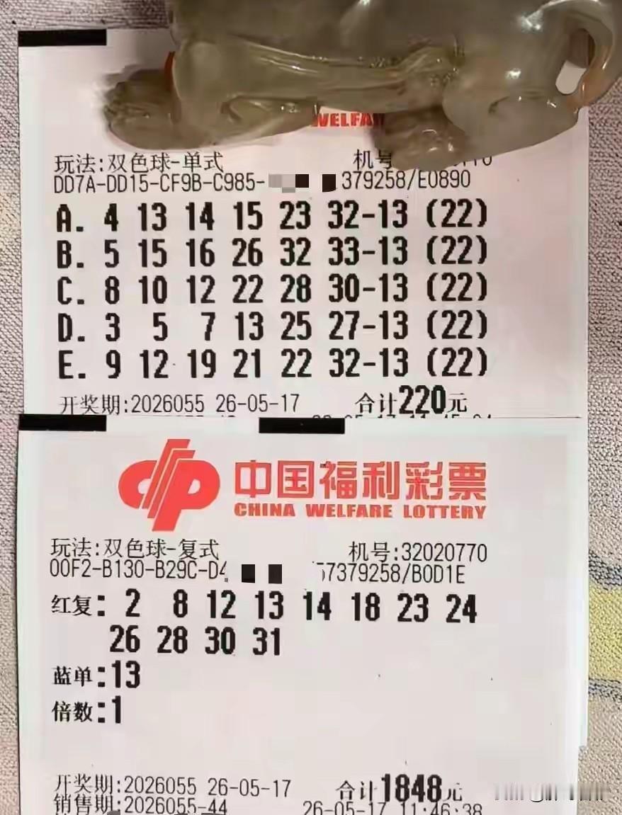 蓝球13挺热啊，连大佬丹丹也看好它。我就不凑这个热闹了，把机会留给你们吧，蓝球1