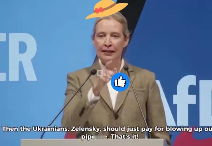 德国政坛炸了锅！1月25日，那位以敢说敢言的德国选择党女大佬爱丽丝·魏德尔，当着