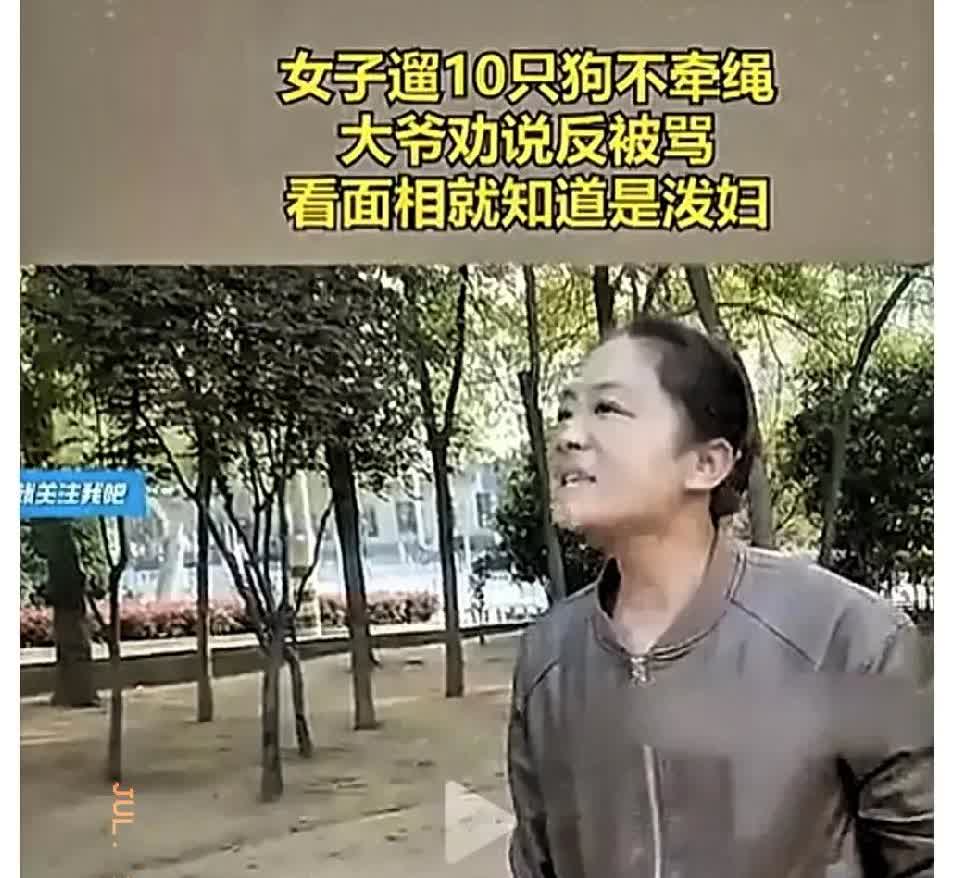 一女的养十条狗，公共场合遛狗不牵绳，大爷劝说不听，追着大爷喊“那有咋了，