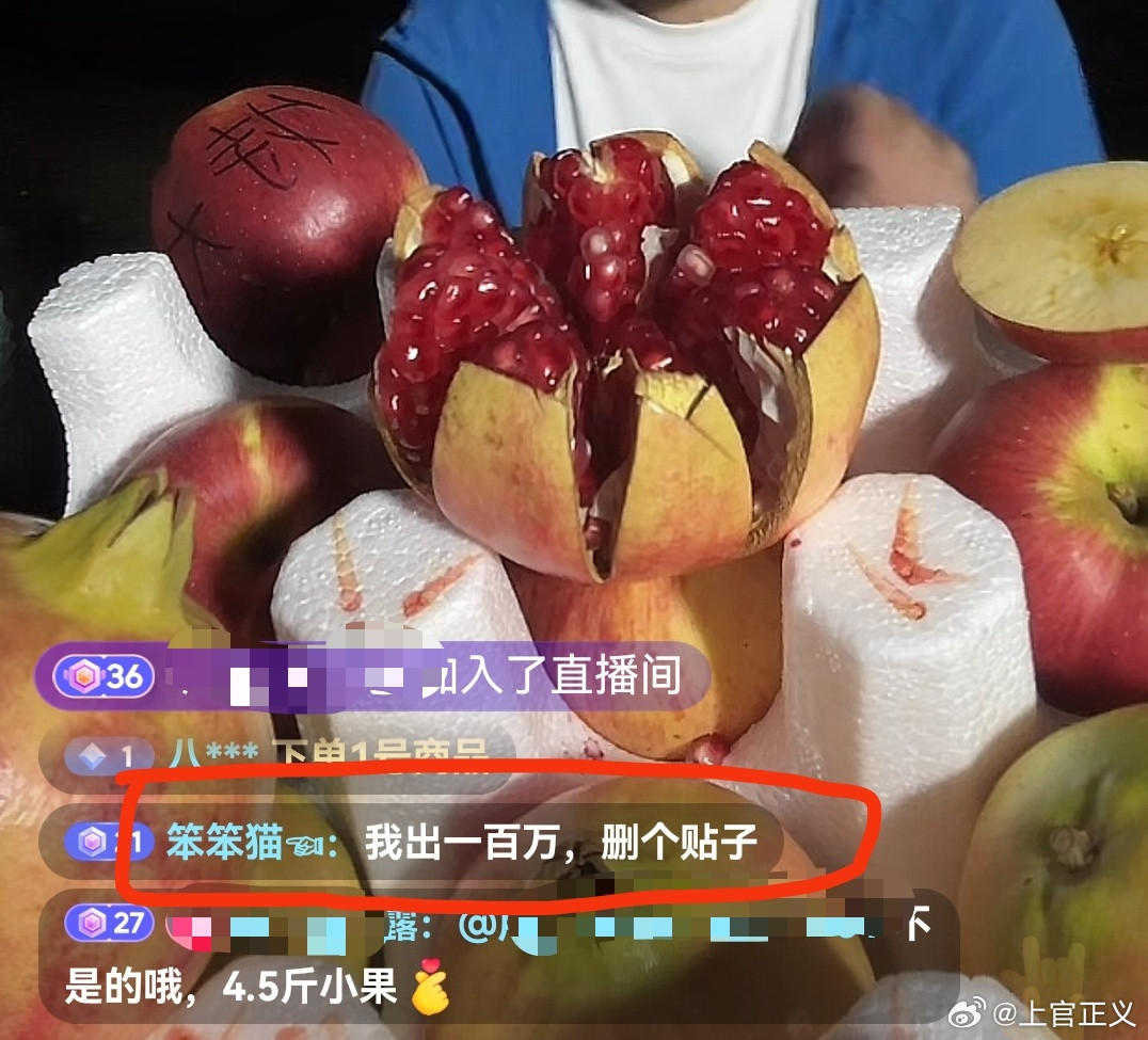 #有人开始对我污蔑攻击#这人说100万让我删帖；河北省那边多个版本说:我举报涿州代孕的事情后，没把我