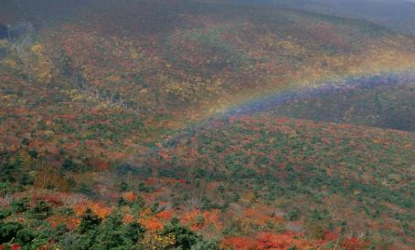 AI时代选专业，湖北考生这三个坑一定要绕开现在离高考还有不到两个月，孩子们在埋