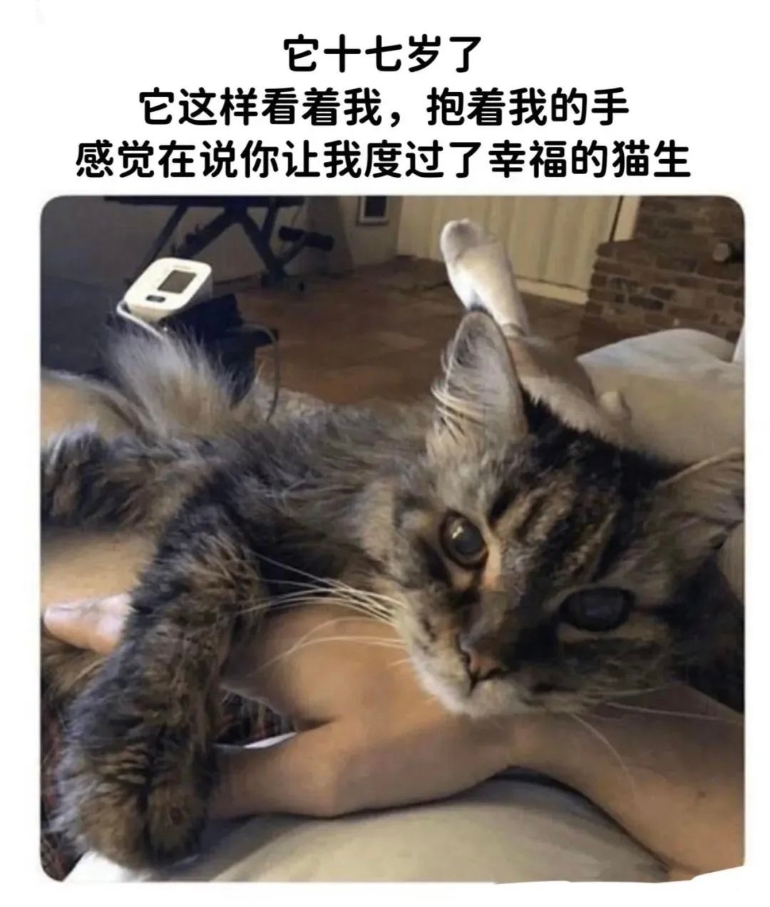 陪伴是最长情的告白​​​