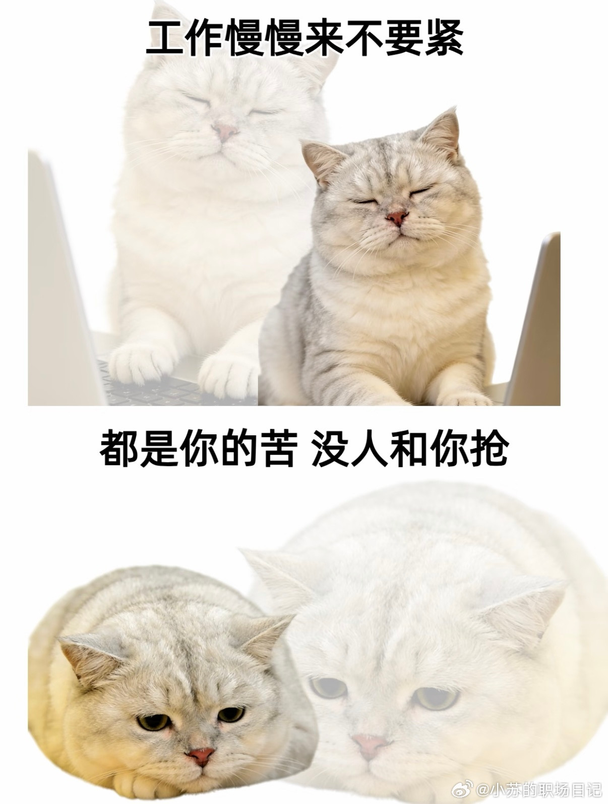 愚人节今天不想上班职场那些事儿其实上对了班，愚人节每天都过愚人节为了防止大家被