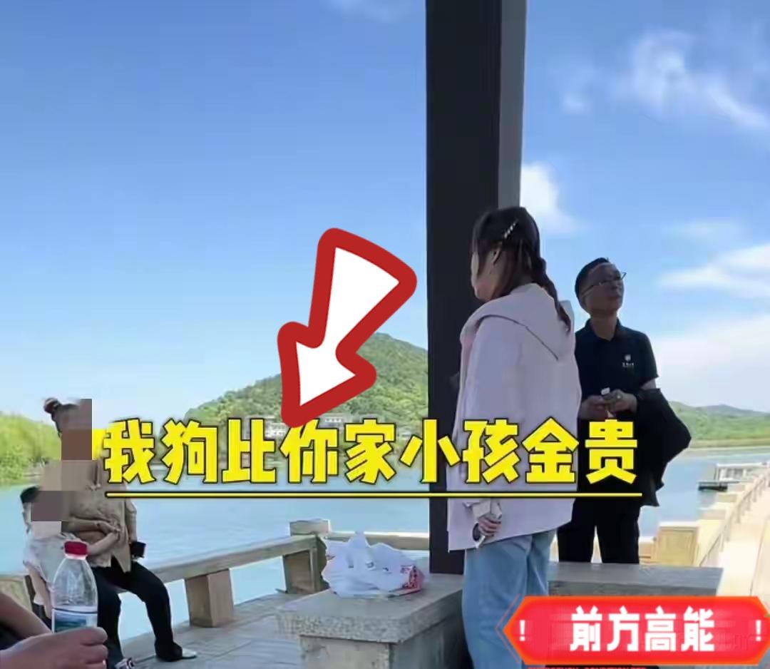 嘉兴公园，女子带边牧犬来到凉亭。因为边牧嗅小孩零食，小孩以为它要吃就踢了一脚。这