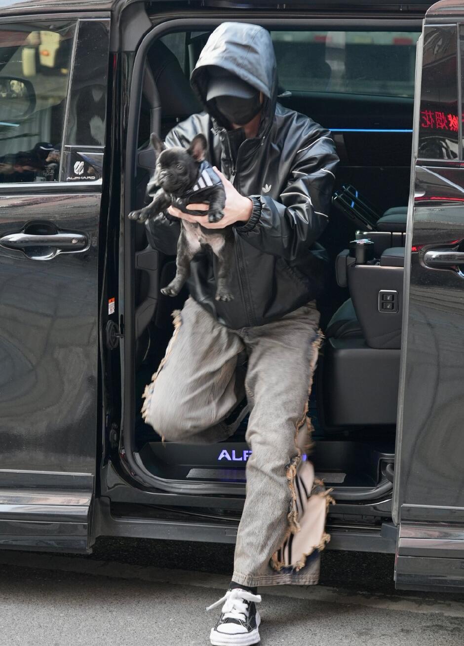 何与养狗了我天哪，这个何与就这样暗戳戳炫耀他的猪猪小狗！好可爱啊曝虞书欣何与确