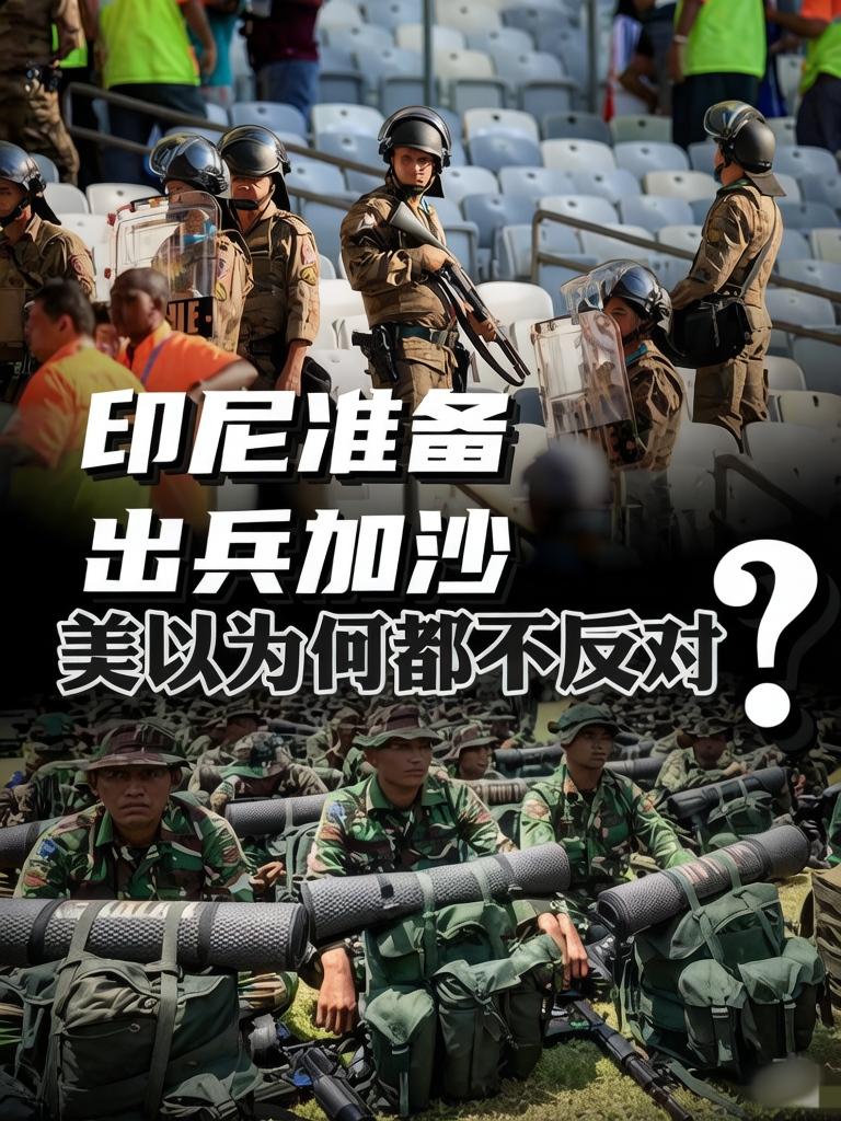 刚采购完歼-10C，印尼就决定派遣8000人的部队进驻加沙。可印尼地处东南亚