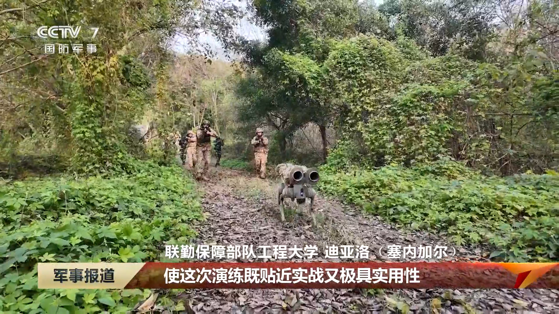 每天认识一件兵器扛两个筒子的机器狗