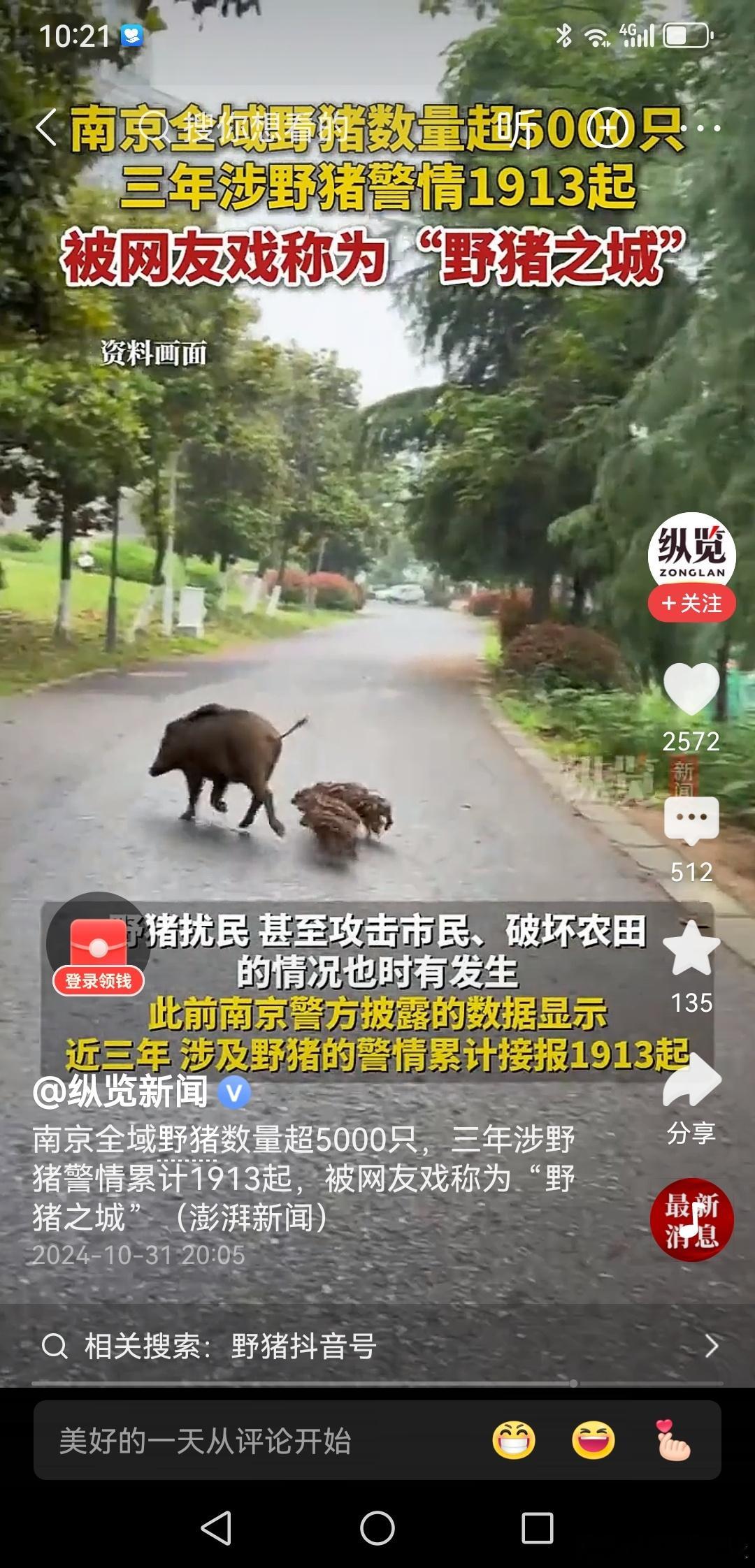 南京野猪成灾,政府开出3000元一头的“悬赏令”找人抓,结果却闹了个乌龙——中标