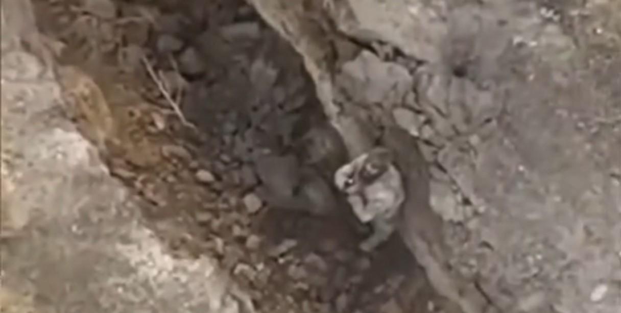 面对假投降的乌军士兵绝对不能同意，必须让他入土。战场上的投降戏码，真真假假让人