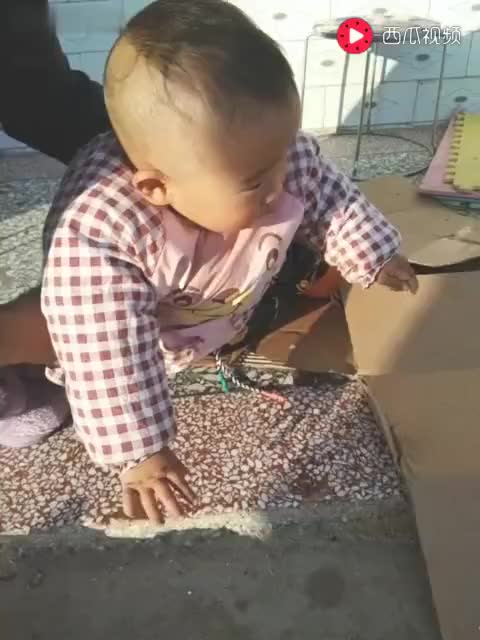 15752025931013466124.jpg?id=0