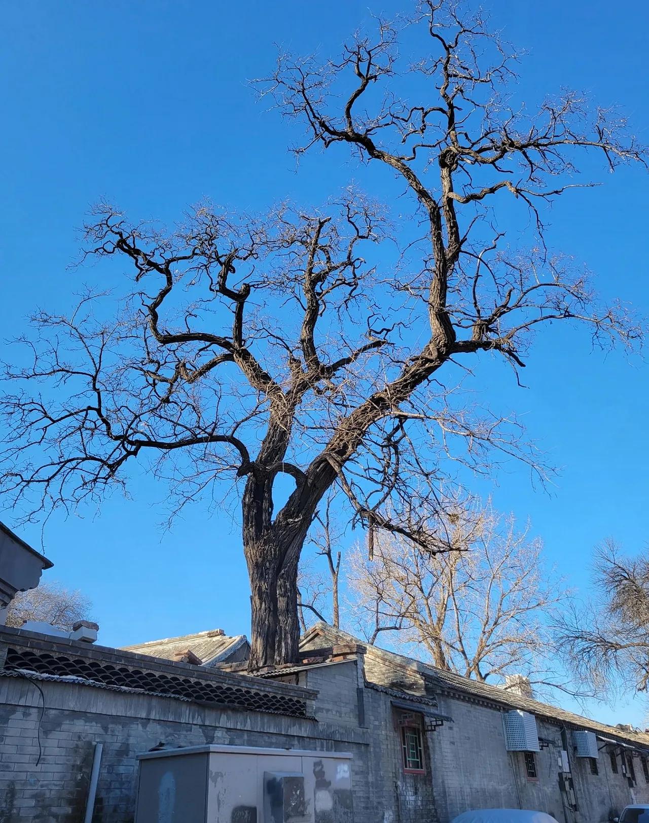 通知一下，从1月8号开始，各地正式进入长达12天之久的大寒流时期，也就是三