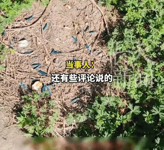 江苏的一位老兄经常在窗前吸烟，抽完了烟就随手把烟头扔出窗外。有一天，他在窗外长