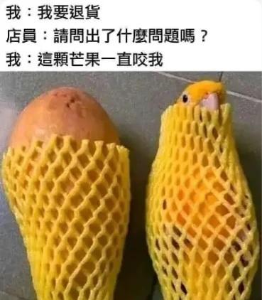 这颗芒果一直咬我|梗图meme图源网络，侵删搞笑meme梗梗图网络梗图