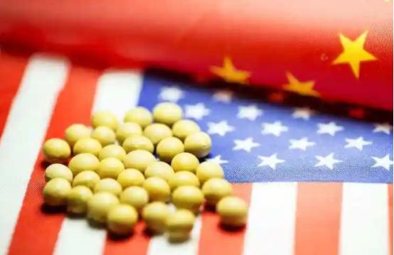我国每年进口大豆一亿吨左右，现在巴西的大豆产量超过1.6亿吨，基本已经可以实现对