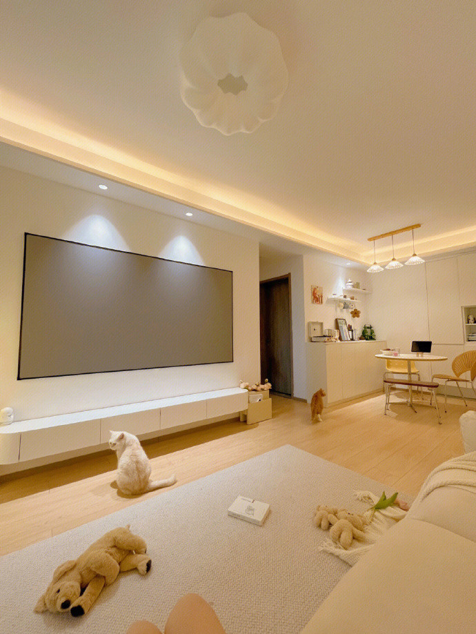 一个人，住着55平小屋，也很舒服啊！