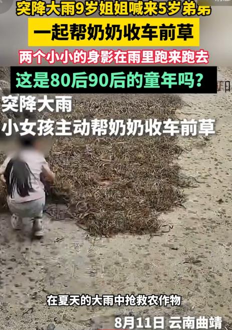 8月14日海外网报道，云南曲靖大雨突降，9岁姐姐与5岁弟弟在家，院里晒的车前草即