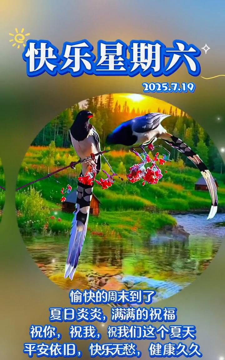 快乐星期六。愉快的周末到了，夏日炎炎，满满的祝福。祝你，祝我，祝我们这个夏天平