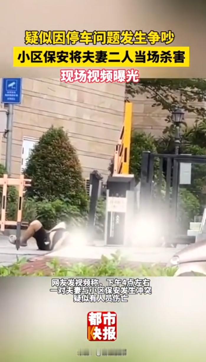 这是一起保安杀死两名业主的恶性案件。事件起因是一对夫妻在小区地下室乱停电动车，保