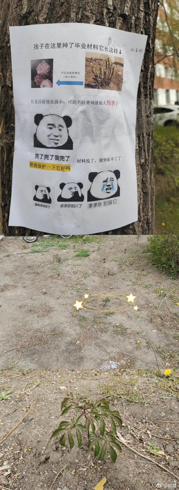这不注意真的看不到啊 ​​​