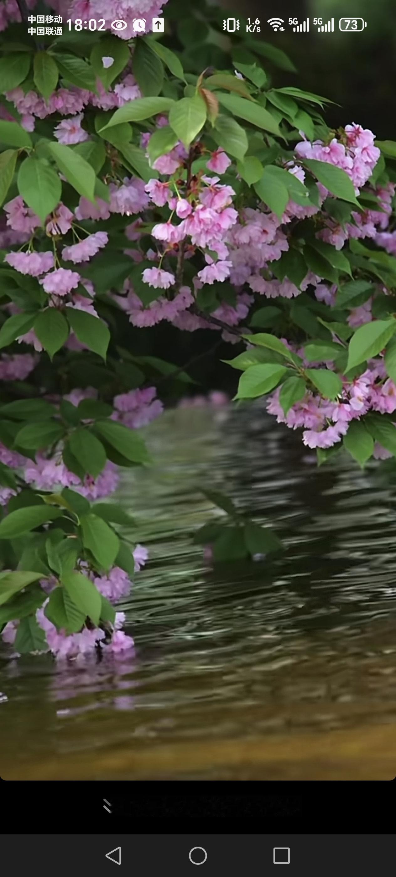 朋友最近整日愁眉不展，满心都是悔恨，说起儿子的事，满是无奈与自责。