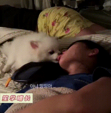 美女睡着以后，竟然让舔狗得逞了，美女毫无反应！
