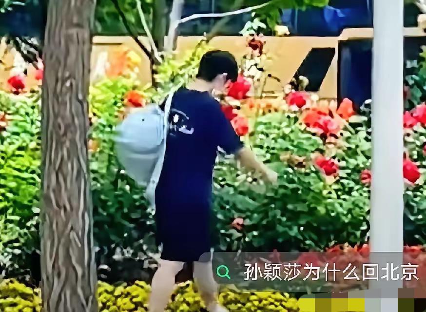 王艺迪去西藏旅游了我不意外王曼昱也出去旅游了我也不意外但令我意外的是，孙颖莎