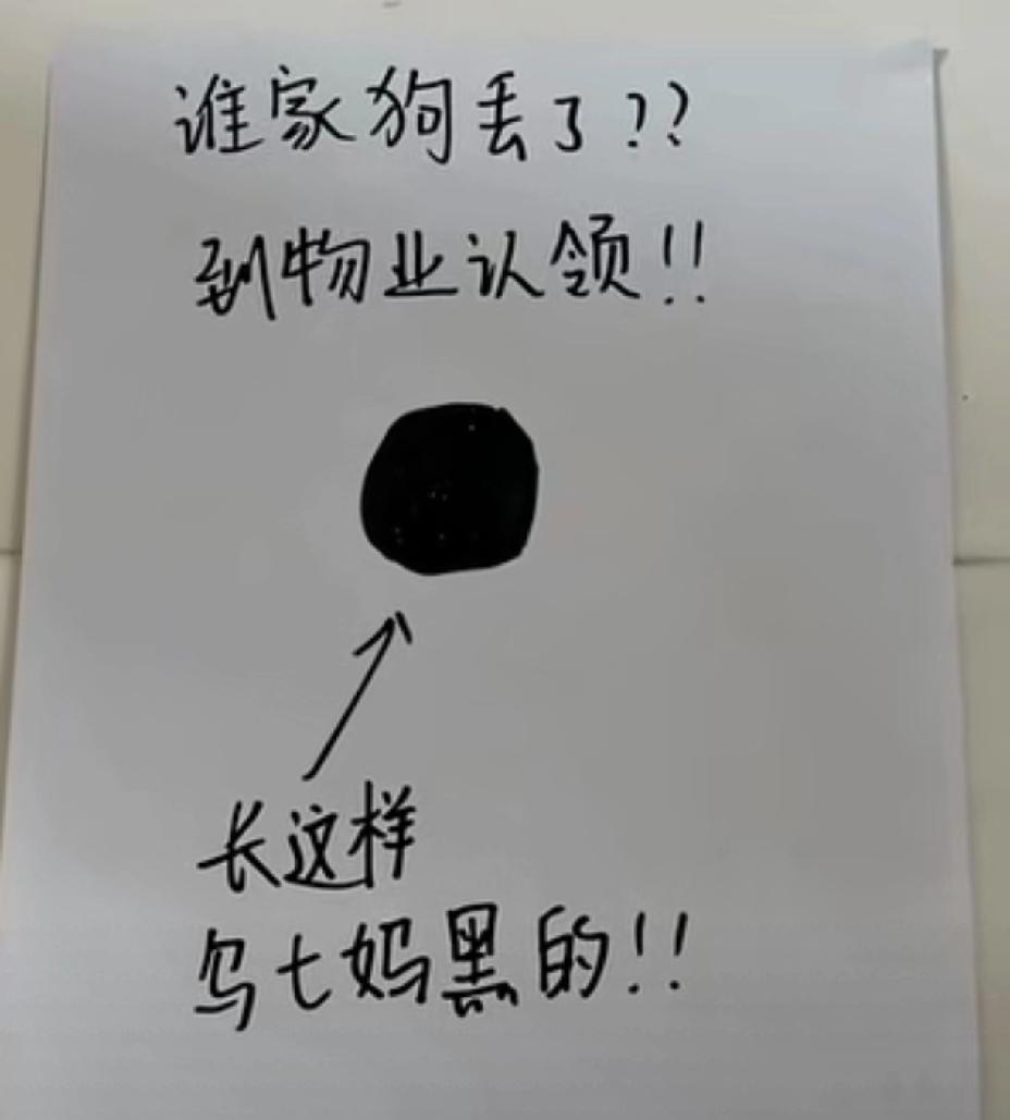 哈哈哈，笑死了！第一眼，还以为是恶作剧，当我真正看到那狗狗的时候，才发现是写实
